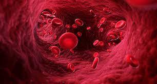 How to Purify blood naturally | Detoxify Blood