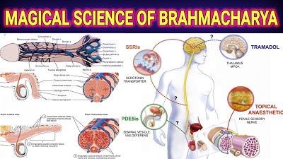 Scientific Reasons Behind Brahmacharya | Science Behind Brahmacharya