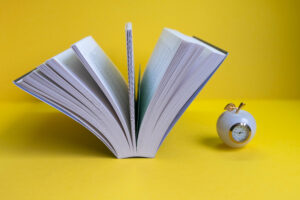 Dopamine Discipline Book