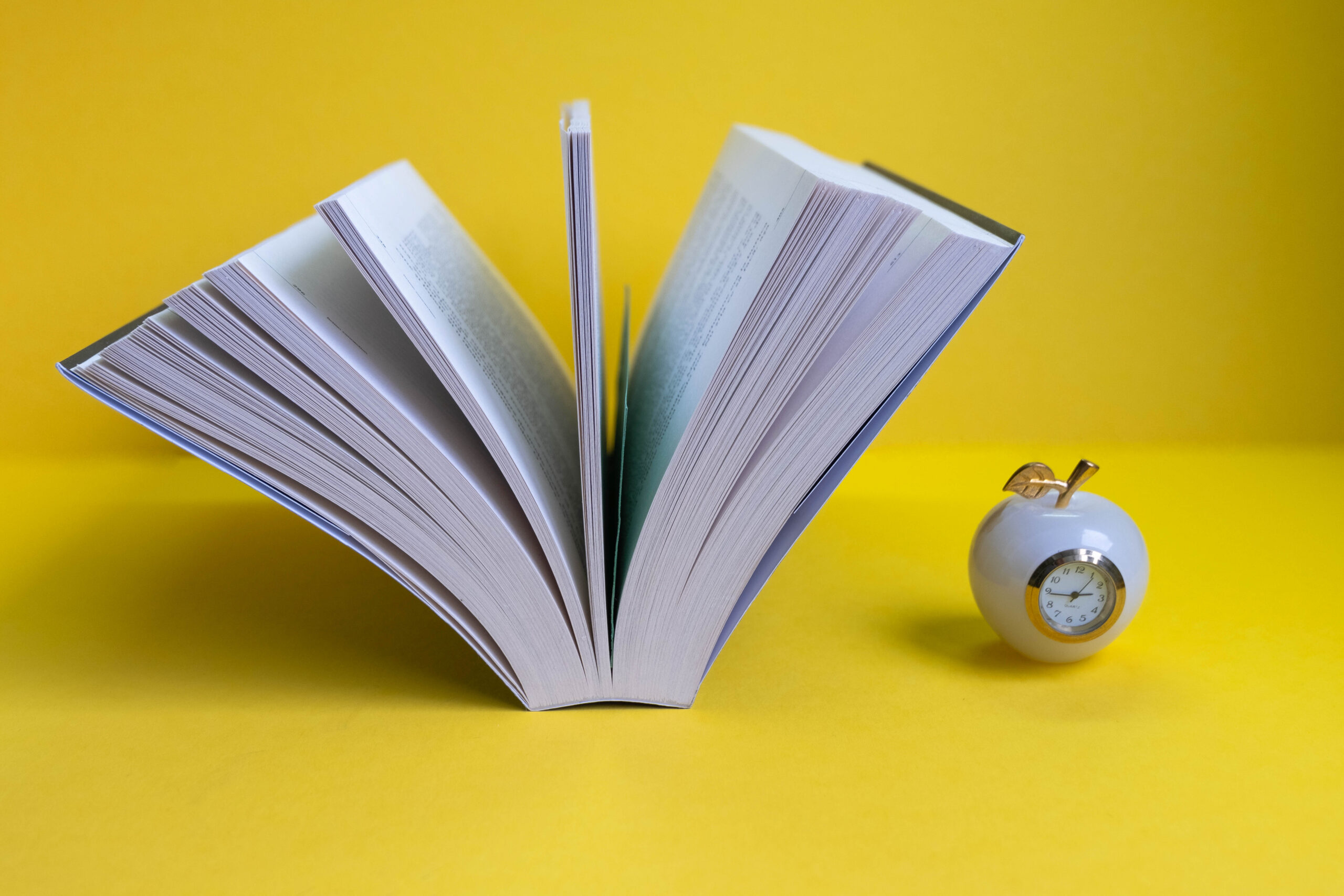 Read more about the article How the Dopamine Discipline Book Helps PMO Recovery